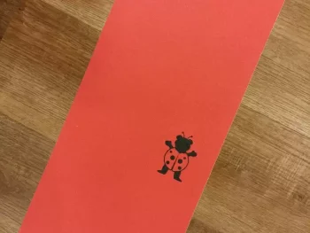 Lija Grizzly Mariquita