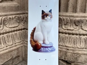 Tabla Delta Gato 8.25