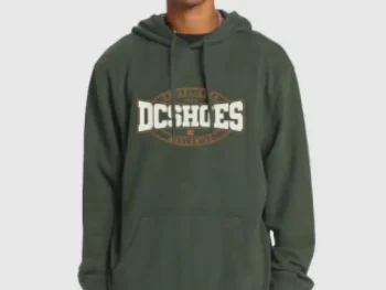 Hoodie DC Shoes Standout