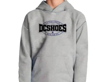 Hoodie DC Shoes Standout Kids