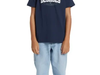 Remera DC Shoes Standout Kids