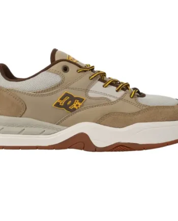 Zapatilla DC Shoes Ascend LE
