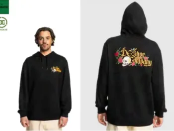 Hoodie DC Shoes Standoof