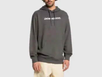 Hoodie DC Shoes Whereabouts