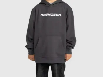 Hoodie DC Shoes Whereabouts Kid