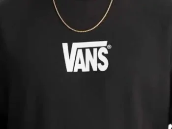 Hoodie Vans Strech Logo